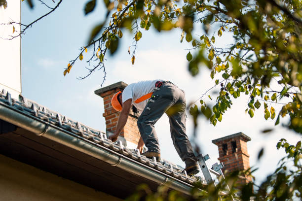 EPDM Roofing in Palatine, IL